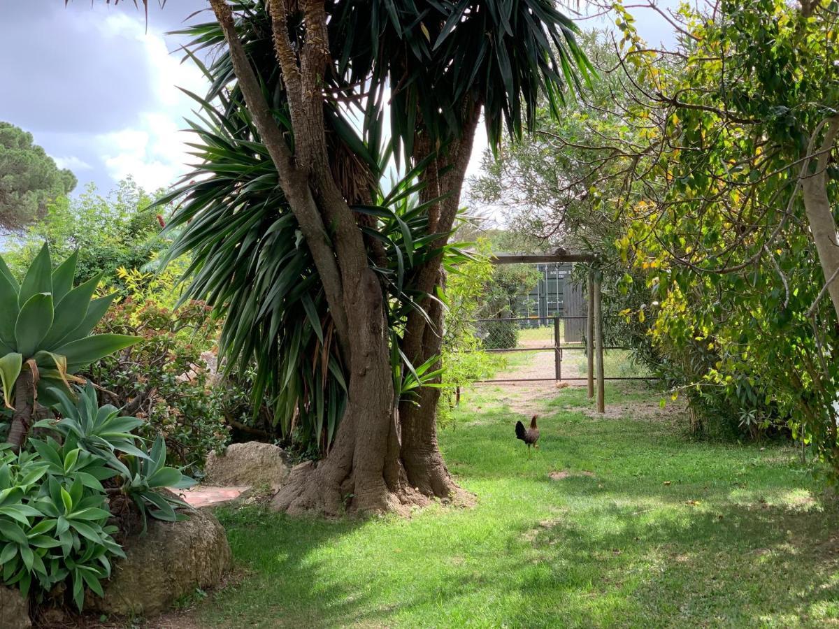 Finca Filpi Hotel Chiclana de la Frontera Ngoại thất bức ảnh